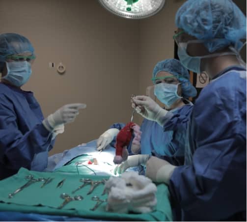 Three students in PPE practicing a surgery