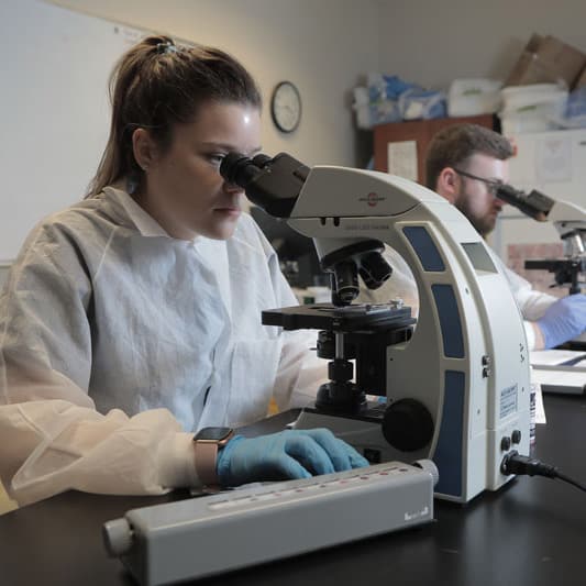 Estudiantes en un laboratorio mirando a través de microscopios