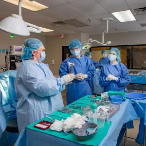 Brookline College Degrees Diploma Programs Online Arizona New Mexico