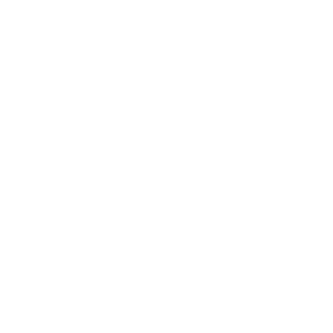 Icon of a magnifying glass and a dollar sign on paper