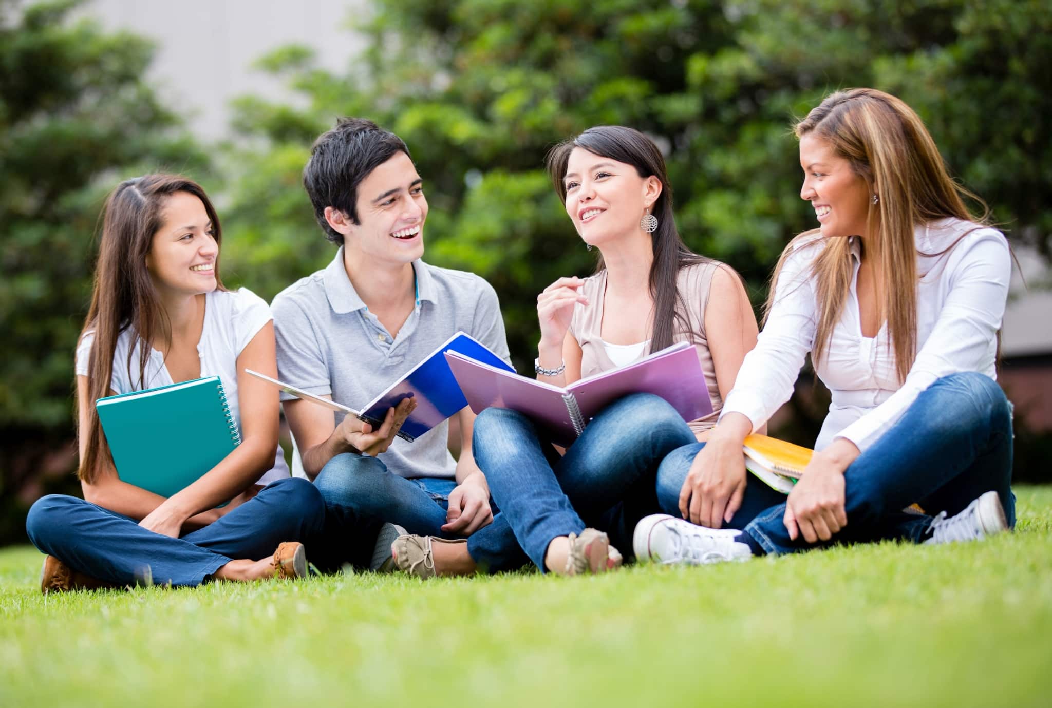 Group of students sitting in the grass
