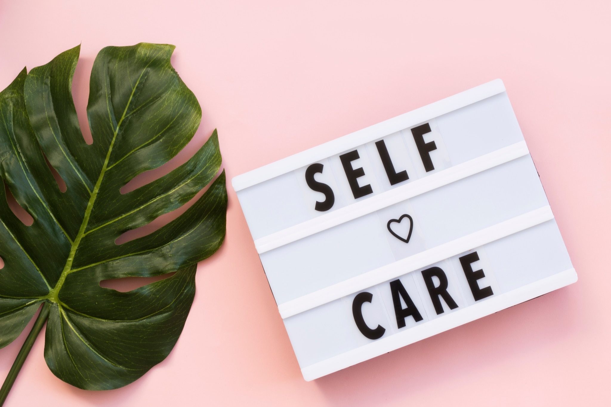 A sign that says self care next to a large leaf against a pink backdrop